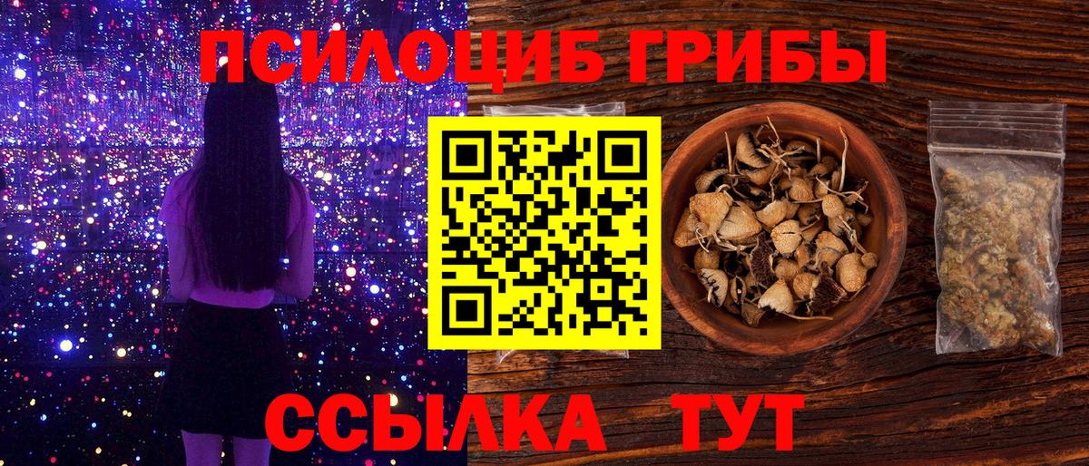 наркошоп  Вход с VPN  Псилоцибиновые грибы GOLDEN TEACHER  Ярцево  Псилоцибиновые грибы Psilocybine cubensis 